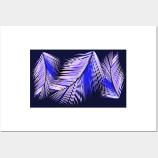 Blue palms on dark blue background Posters and Art